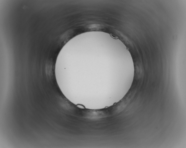 X0000111350379200907310957