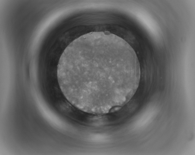 X0000111350383200907310957