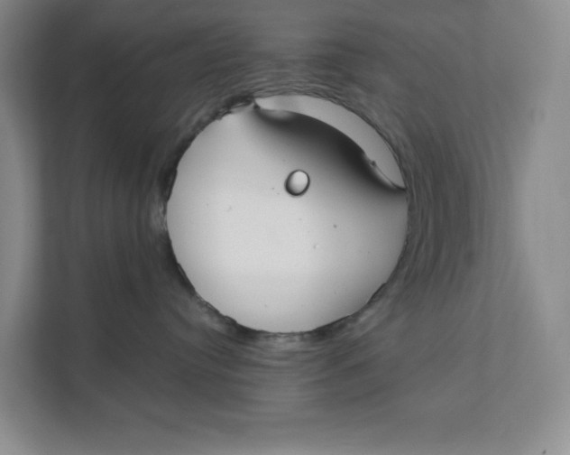 X0000111350384200907310957