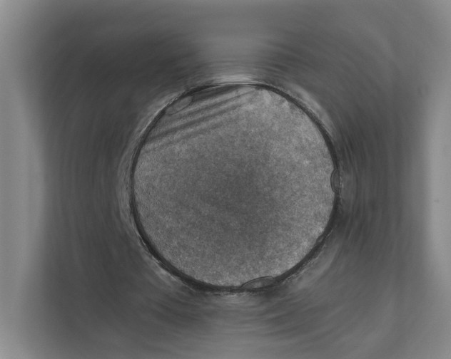 X0000111350385200907310956