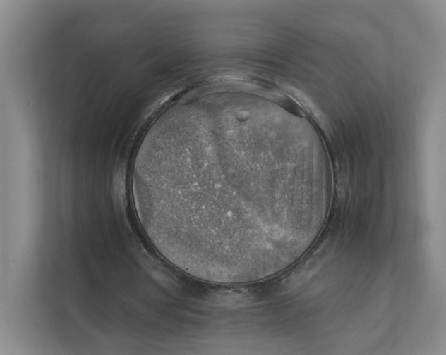 X0000111350386200907310956