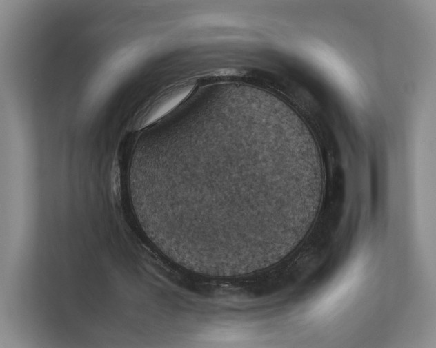 X0000111350387200907310956