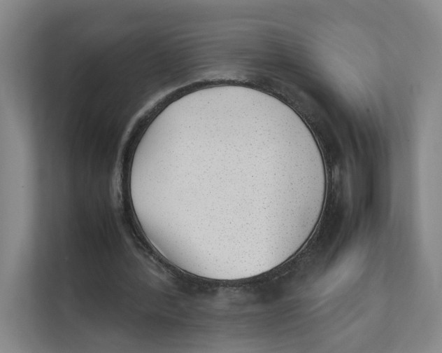 X0000111350388200907310956