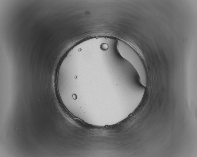 X0000111350389200907310956