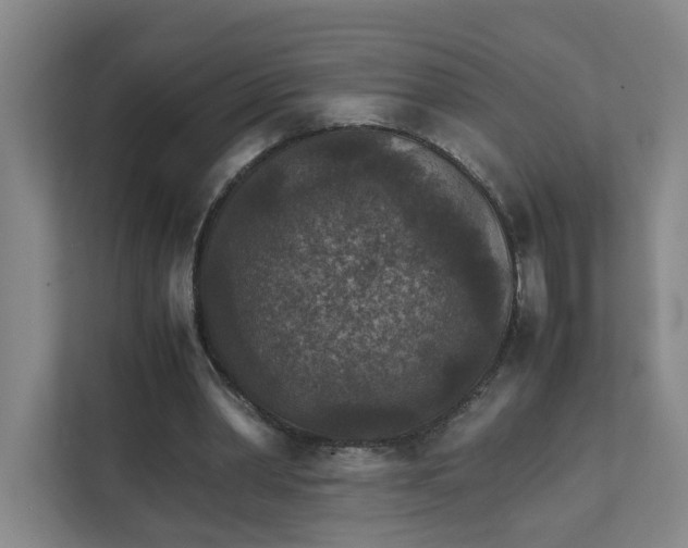 X0000111350390200907310956