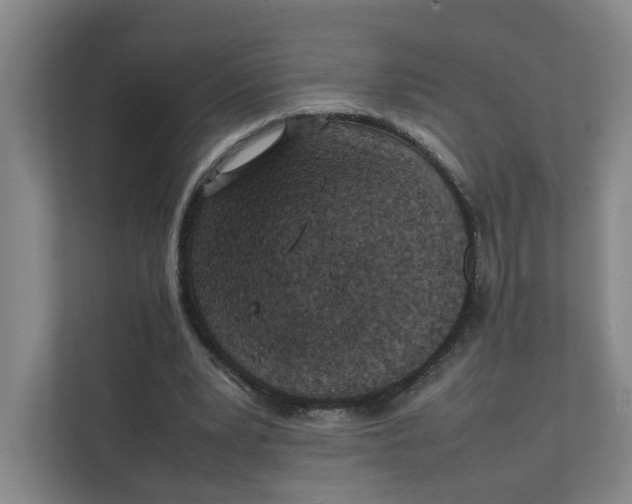 X0000111350391200907310956