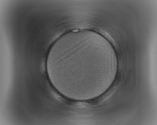 X0000111350393200907310956