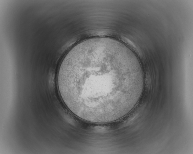 X0000111350394200907310956