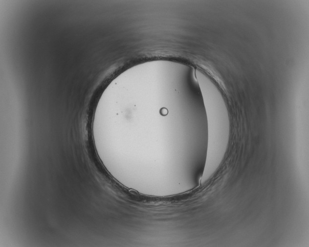 X0000111350395200907310956