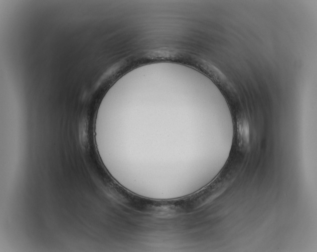 X0000111350396200907310956