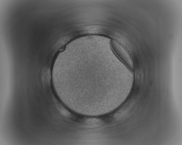 X0000111350397200907310956