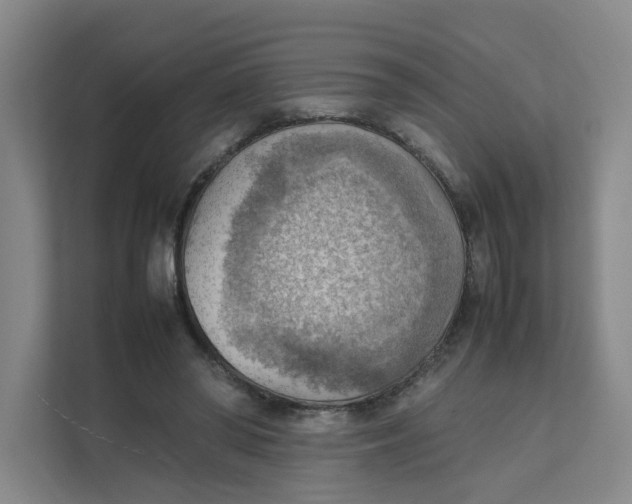 X0000111350398200907310956