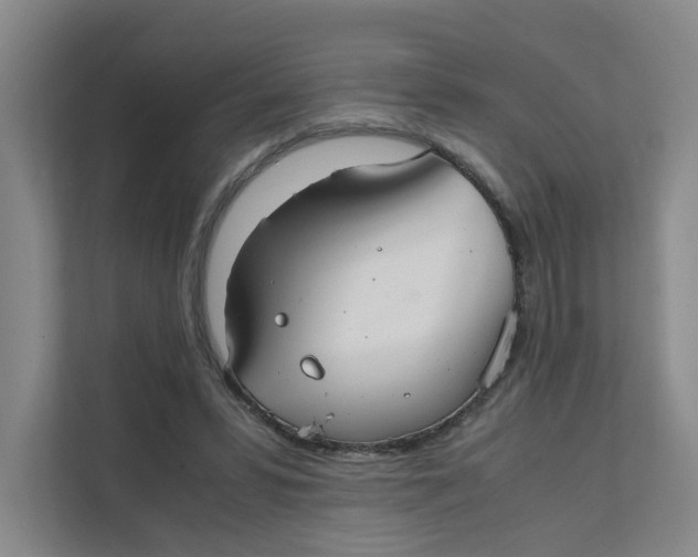 X0000111350399200907310956