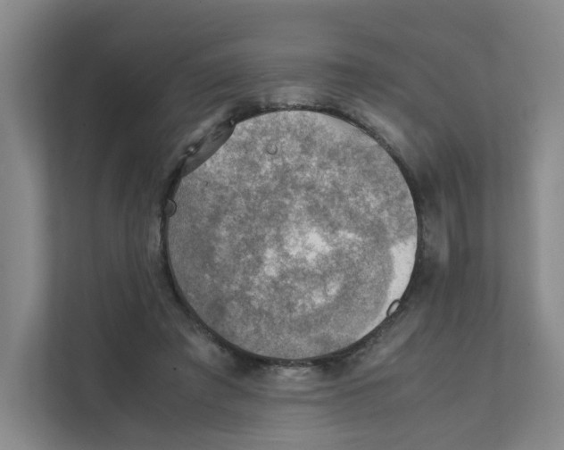 X0000111350401200907310956