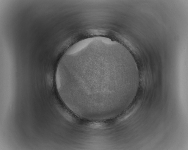 X0000111350402200907310956