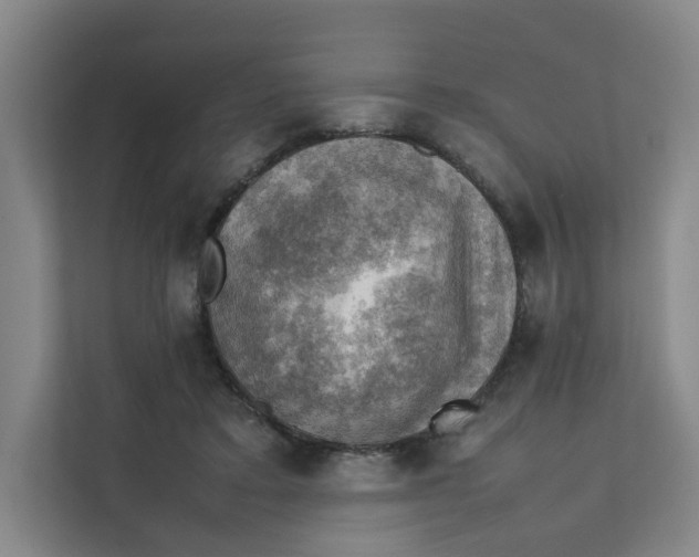 X0000111350403200907310956