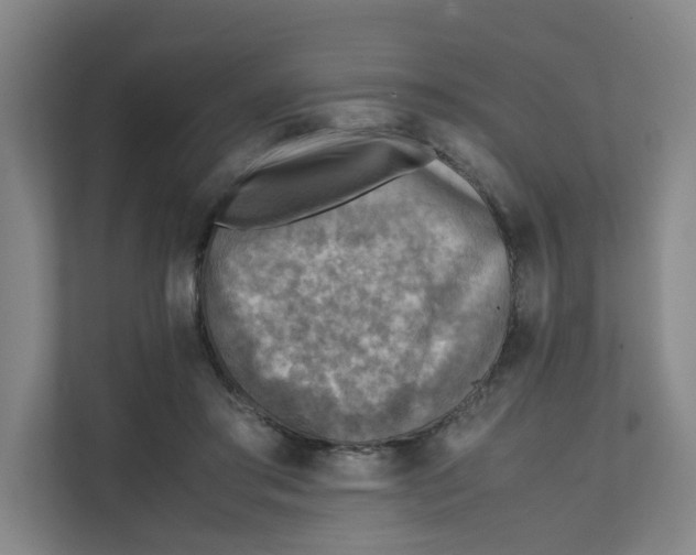 X0000111350405200907310956