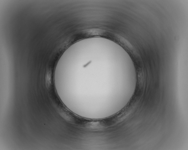 X0000111350406200907310956