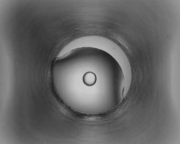 X0000111350407200907310956