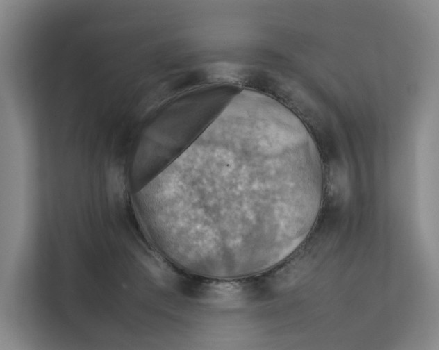 X0000111350409200907310956