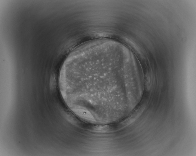 X0000111350410200907310956