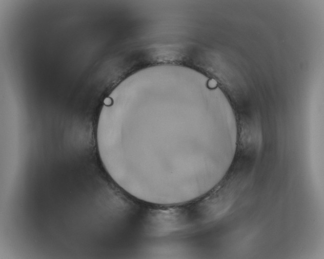 X0000111350411200907310956