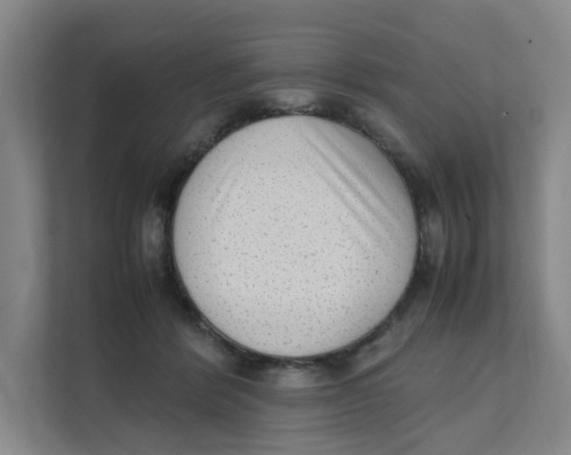 X0000111350412200907310956