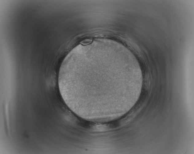 X0000111350413200907310956