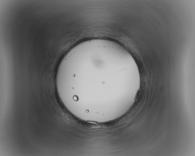 X0000111350415200907310956