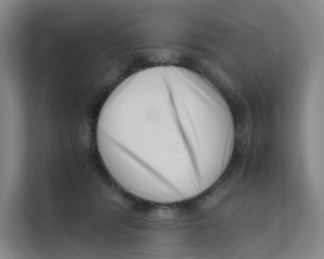 X0000111350416200907310956