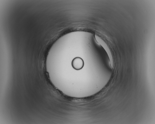 X0000111350417200907310956