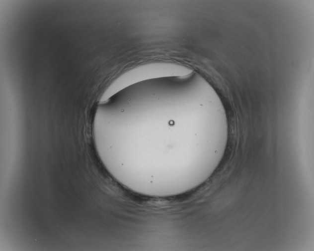 X0000111350419200907310956