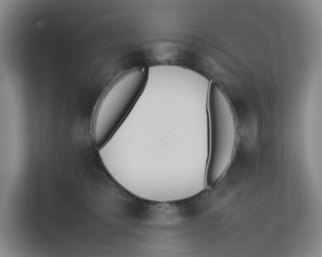 X0000111350421200907310956