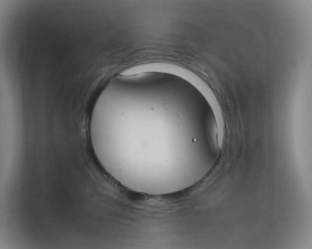 X0000111350423200907310956