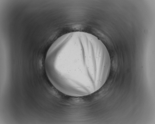 X0000111350424200907310956