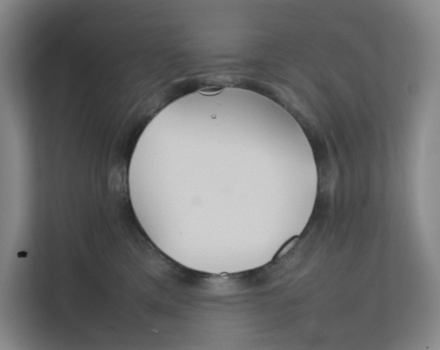 X0000111350425200907310956