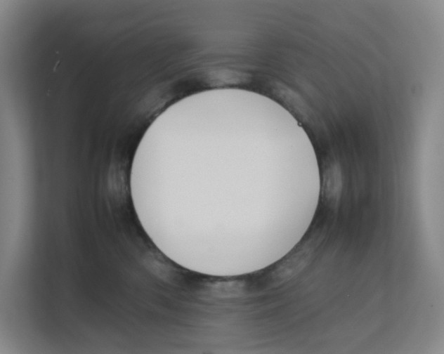 X0000111350426200907310956