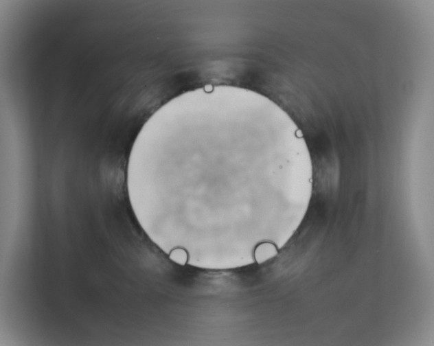 X0000111350427200907310956