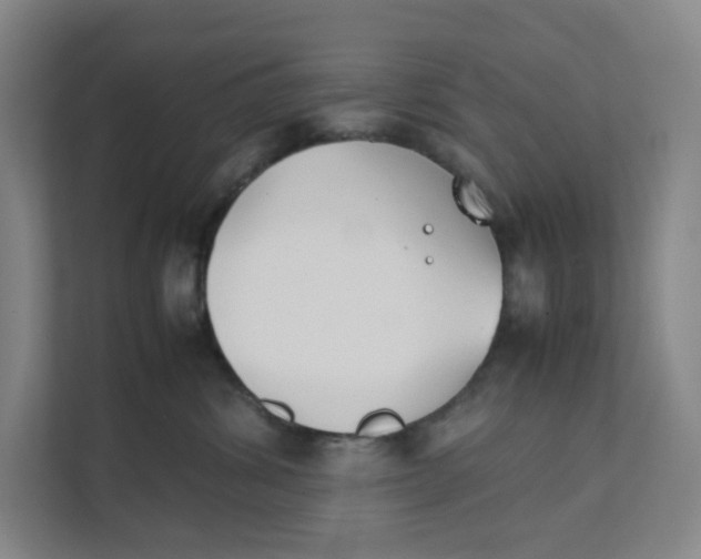 X0000111350428200907310956