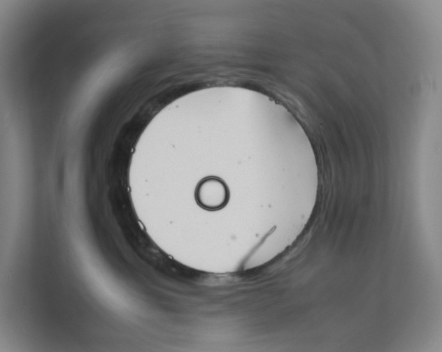 X0000111350429200907310956