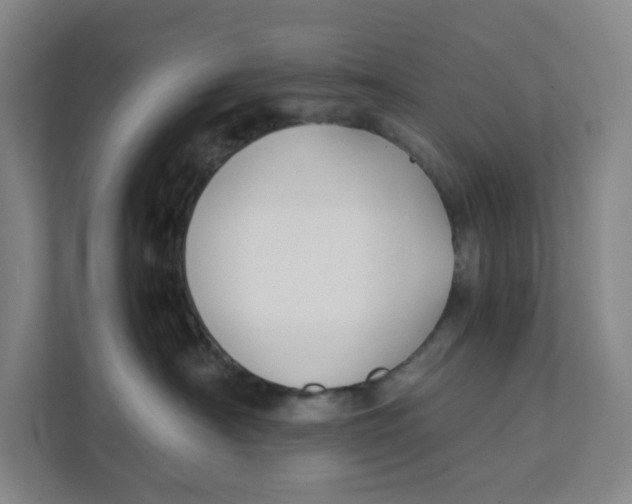 X0000111350430200907310956