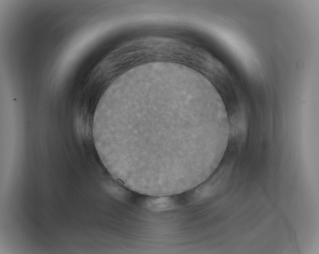 X0000111350431200907310956