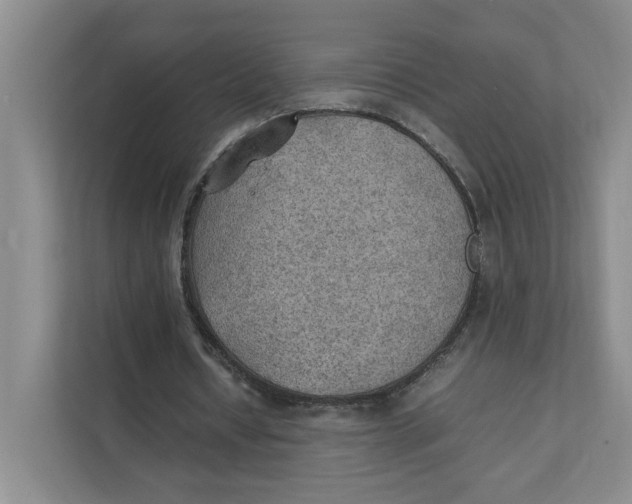 X0000111350434200907310955