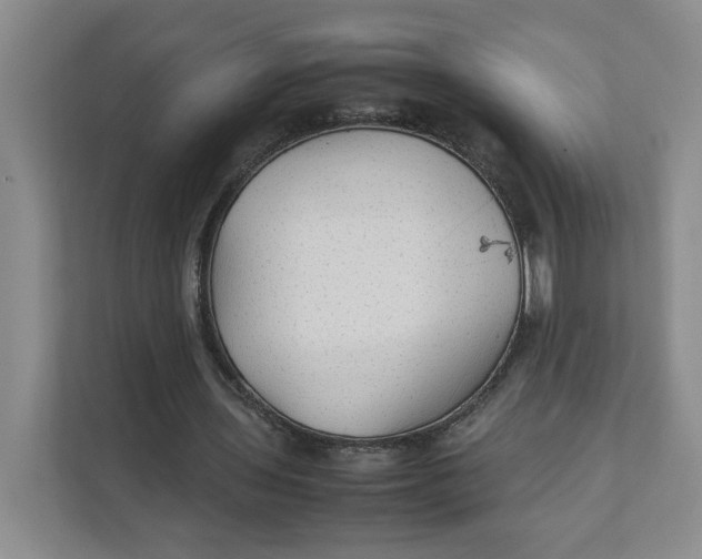 X0000111350435200907310955