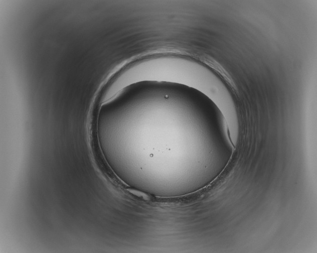 X0000111350436200907310955