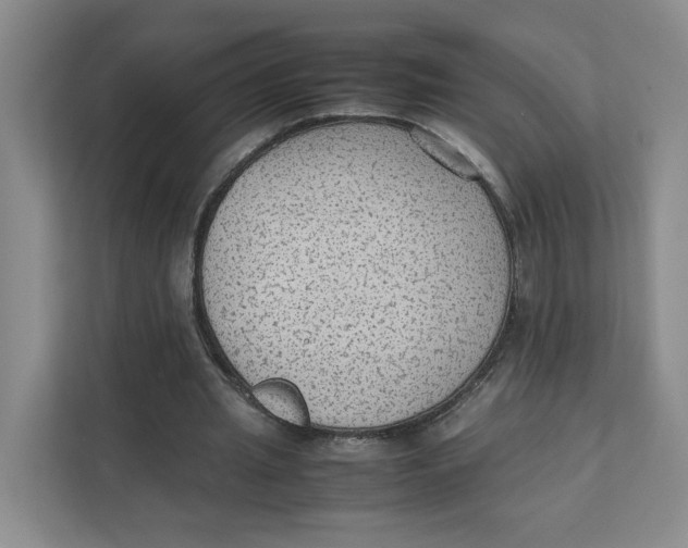 X0000111350437200907310955