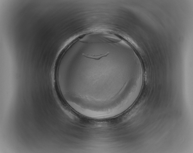 X0000111350438200907310955