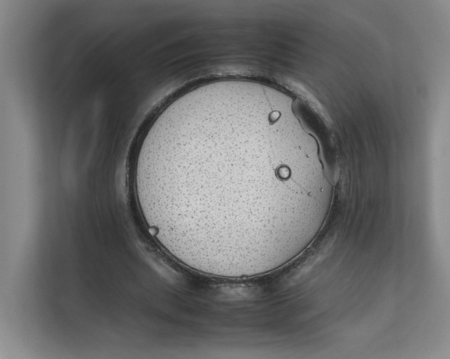 X0000111350439200907310955