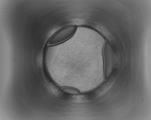 X0000111350440200907310955