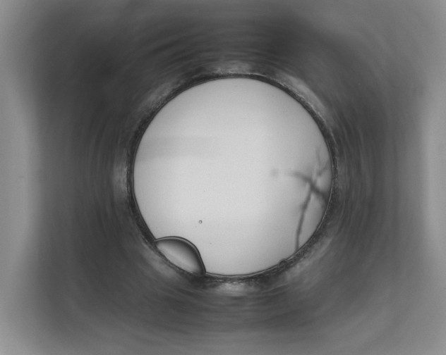 X0000111350441200907310955